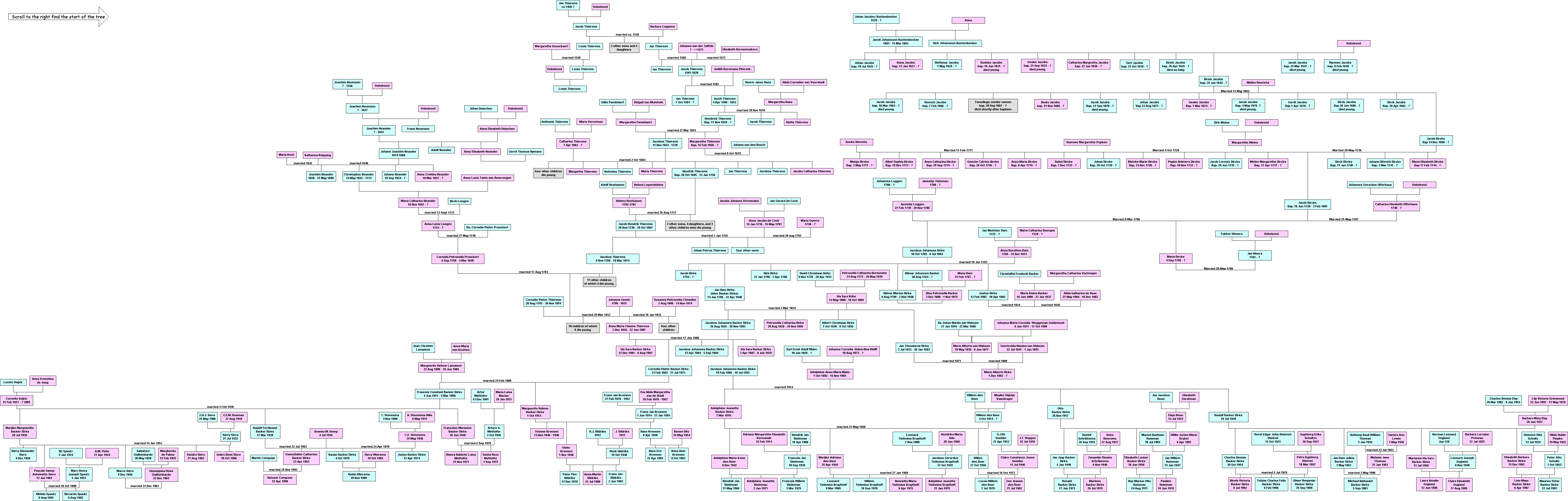 The Backer Dirks genealogical family tree